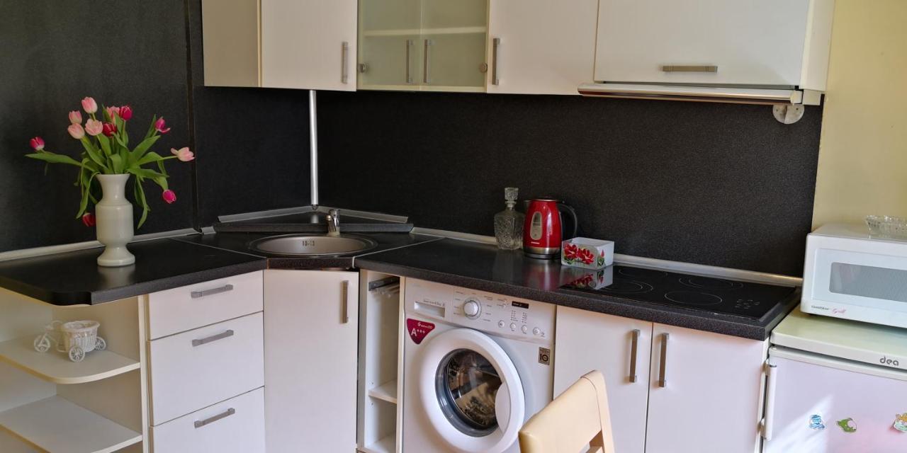 Vieno Kambario Butas Su Balkonu Apartment Kaunas Ngoại thất bức ảnh